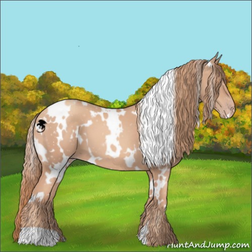 Horse Color:White Spotted Gold Champagne 