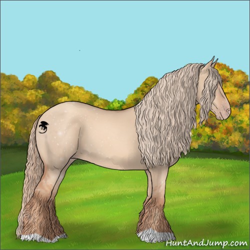 Horse Color:Gold Champagne Dun 