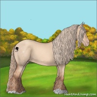 Horse Color:Gold Champagne Dun 