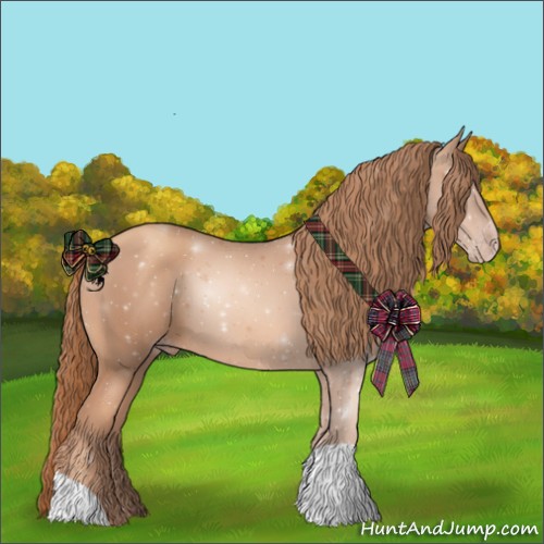 Horse Color:Gold Champagne 