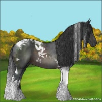 Horse Color:Brown Tobiano