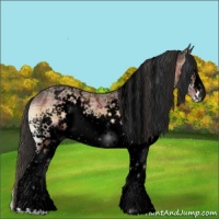 Horse Color:Void Plaid  White Spotted Brown Ice Onyx Appaloosa 