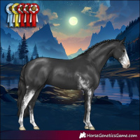 Horse Color:Black Sabino