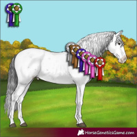 Horse Color:Smoky Black Sabino