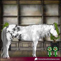 Horse Color:Black Sabino 