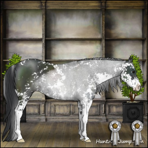 Horse Color:Black Sabino 