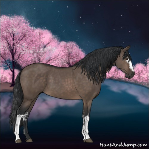 Horse Color:White Spotted Brown Dun 