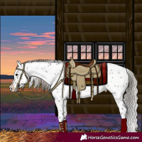 Horse Color:Silver Brown Sabino 