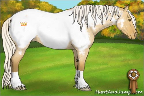 Horse Color:Silver Buckskin Roan Dun Appaloosa