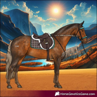 Horse Color:Chocolate Palomino 