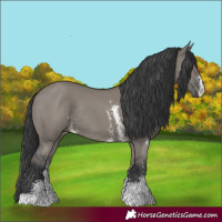 Horse Color:Grullo Sabino Rabicano 