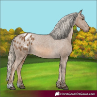 Horse Color:Chocolate Palomino Varnish