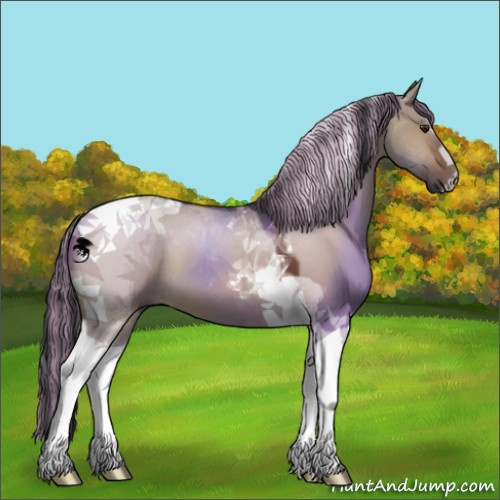 Horse Color:Painted Brown Dun Tobiano 