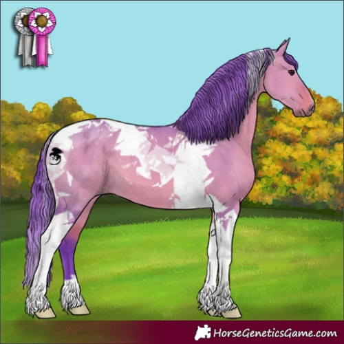 Horse Color:Watercolor Bay Dun Tobiano 