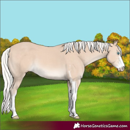 Horse Color:Silver Perlino Sabino 