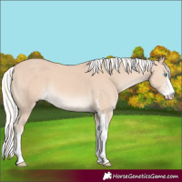 Horse Color:Silver Perlino Sabino 