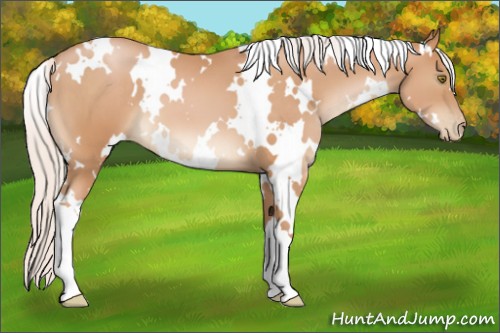 Horse Color:White Spotted Silver Bay Pearl 