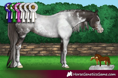 Horse Color:White Spotted Liver Chestnut Sabino 