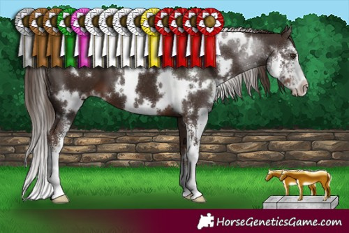 Horse Color:White Spotted Liver Chestnut Sabino 