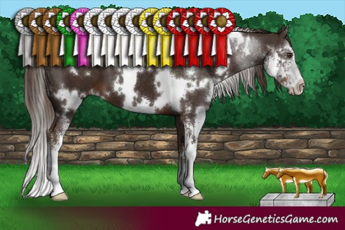 Horse Color:White Spotted Liver Chestnut Sabino 