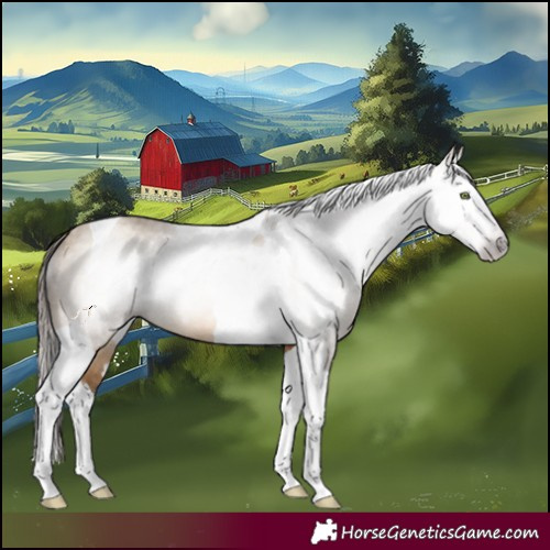 Horse Color:Gray Amber Champagne Dun Splash Tobiano Varnish 