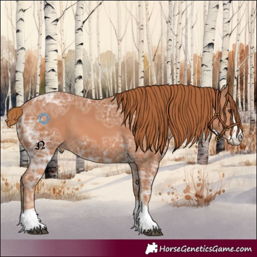Horse Color:Chestnut Ice 
