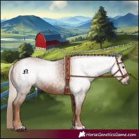 Horse Color:Gray Chestnut 