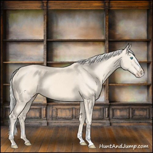 Horse Color:Cremello Splash  and Cremello Splash 