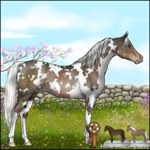Horse Color:White Spotted Liver Chestnut Mushroom Rabicano 
