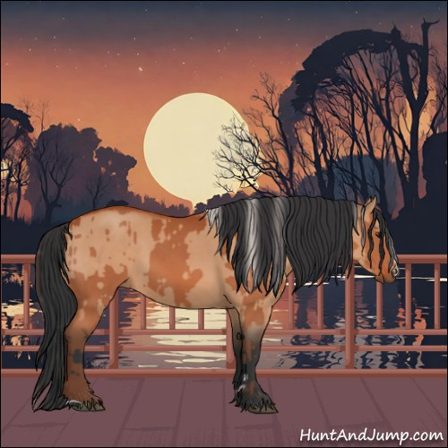 Horse Color:Silver Bay Sabino and Bay Dun