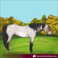 Horse Color:Brown Roan Dun Frame 
