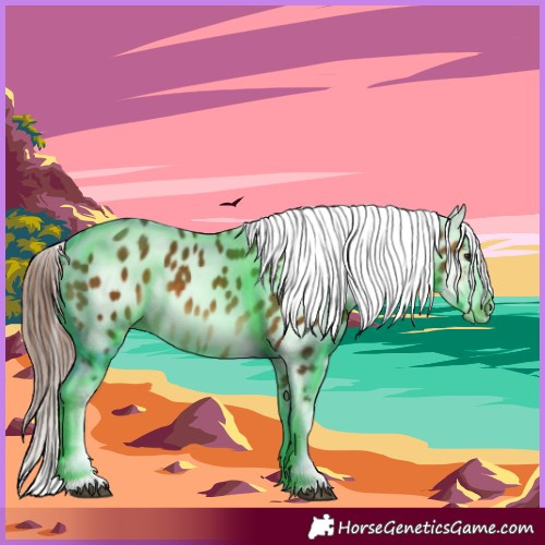 Horse Color:Bay Sabino Near Leopard 