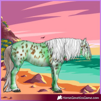 Horse Color:Bay Sabino Near Leopard 