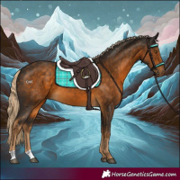 Horse Color:Chocolate Palomino 