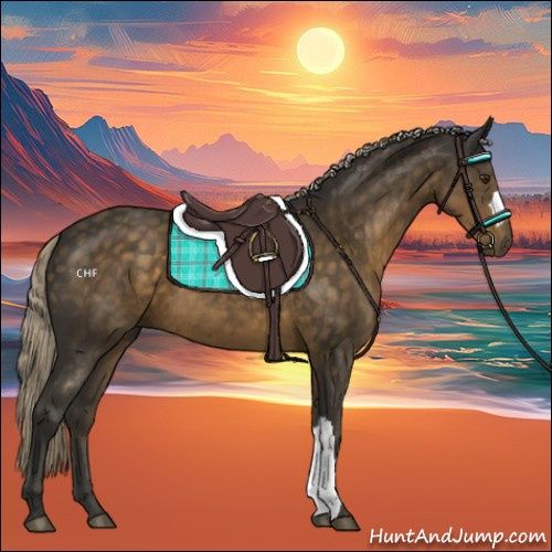 Horse Color:Chocolate Palomino 