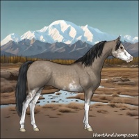 Horse Color:Brown Dun Sabino 