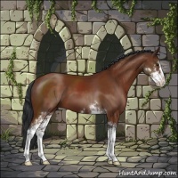 Horse Color:Brown Sabino 