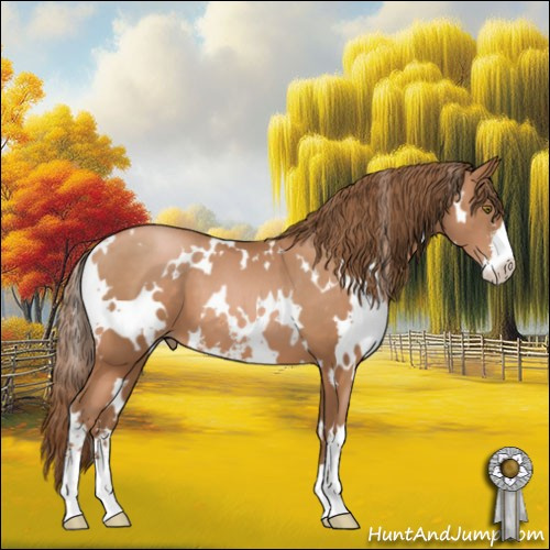 Horse Color:White Spotted Brown Pearl Sabino 