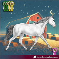 Horse Color:Black Sabino Near Leopard 
