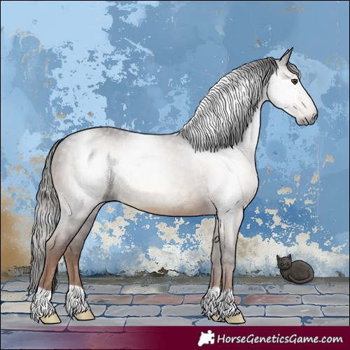 Horse Color:Gray Liver Chestnut