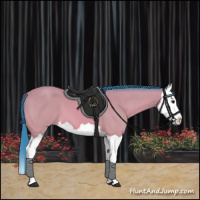 Horse Color:Watercolor Bay Splash