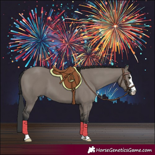 Horse Color:Grullo 