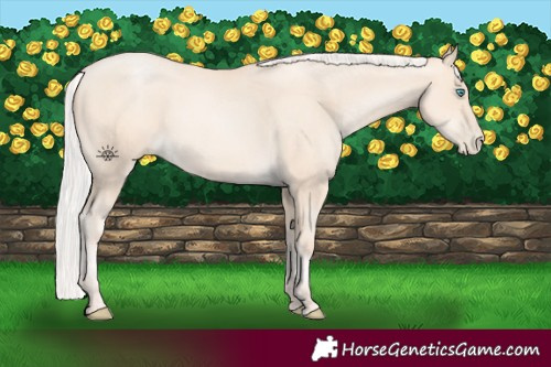 Horse Color:Silver Amber Cream Champagne Pearl