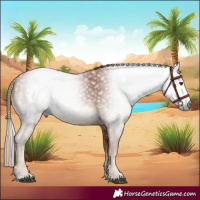 Horse Color:Gray Chestnut 