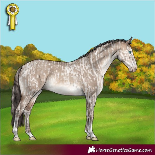Horse Color:White Spotted Perlino Dun  and White Spotted Sable Champagne Dun Tobiano 