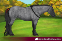 Horse Color:Blue Roan 