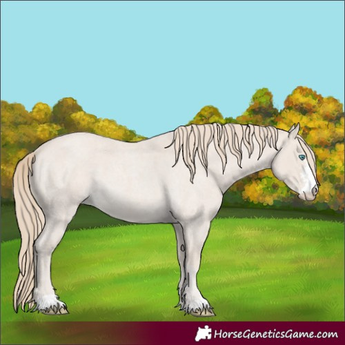 Horse Color:Smoky Creme Roan Sabino 