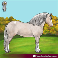 Horse Color:Silver Brown Dun Varnish 