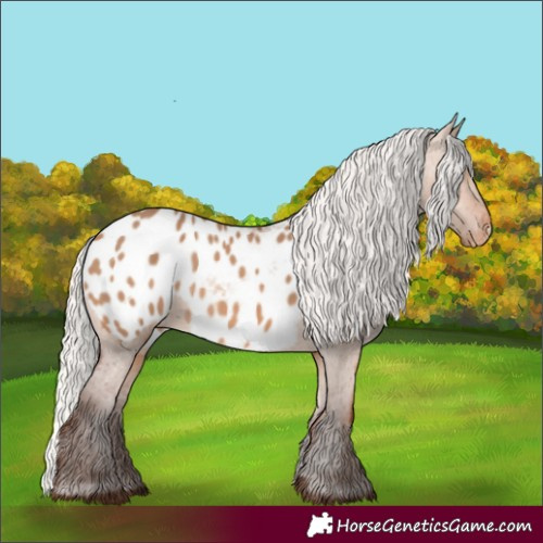 Horse Color:Silver Brown Dun Blanket 
