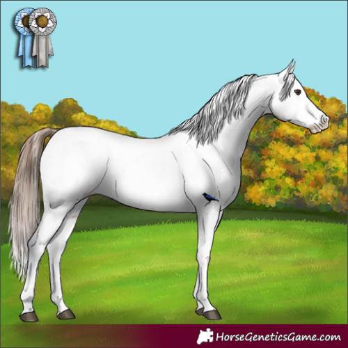 Horse Color:Chestnut Snowcap 
